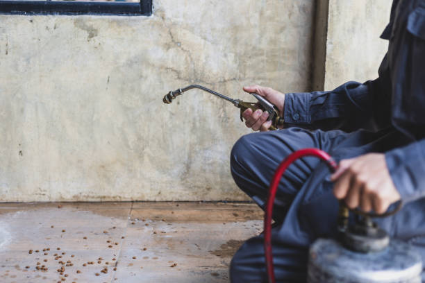 Best Exterminator Services  in Helotes, TX